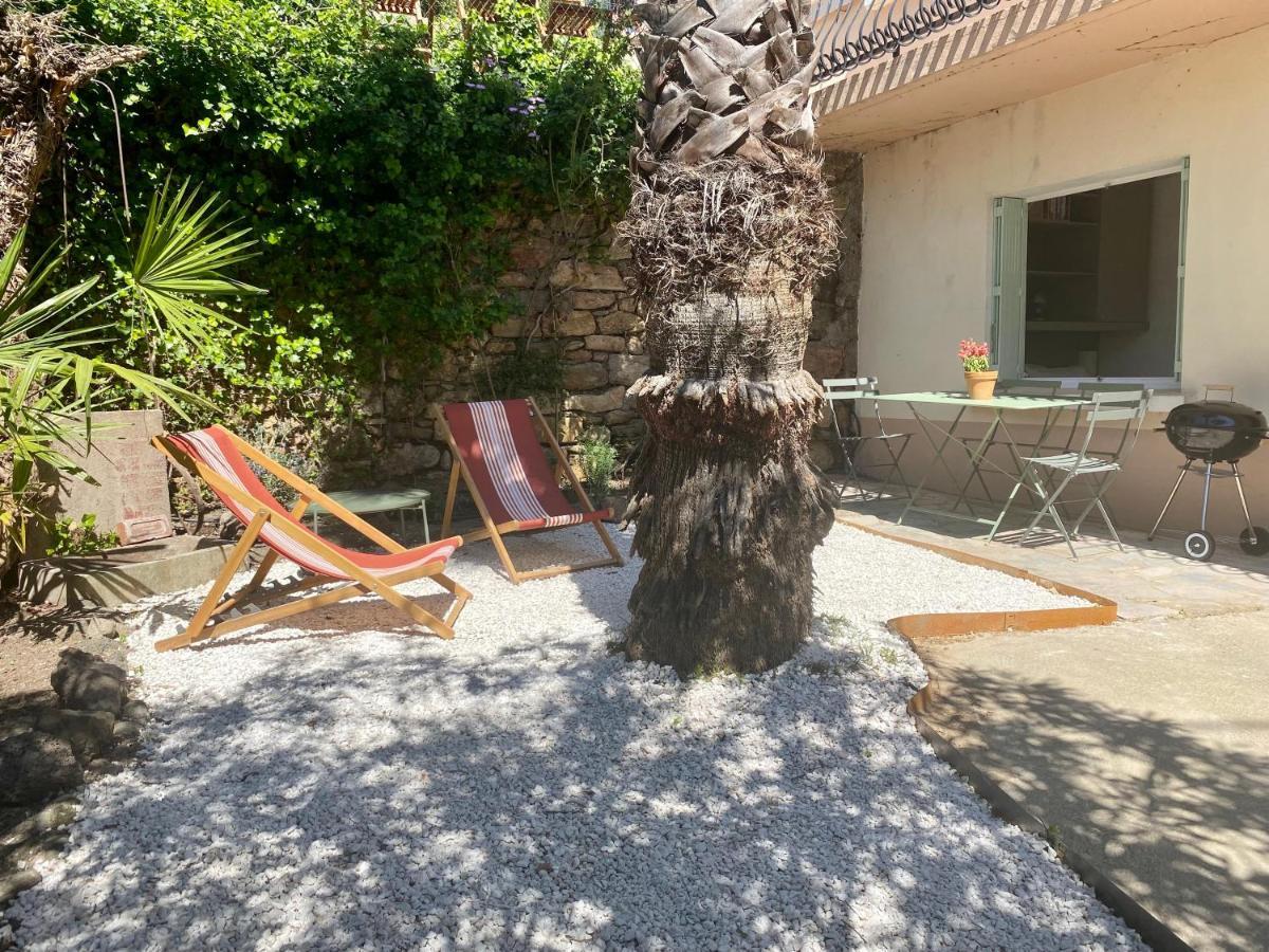 Gite Le Palmier - Perfectly Located Cosy Studio With Private Garden Puissalicon Екстериор снимка