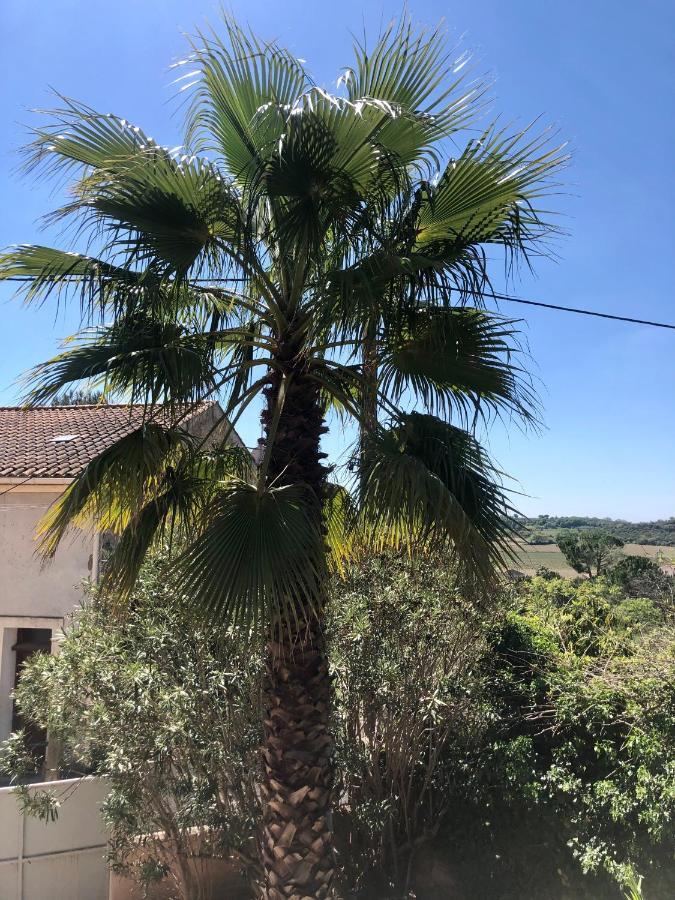 Gite Le Palmier - Perfectly Located Cosy Studio With Private Garden Puissalicon Екстериор снимка