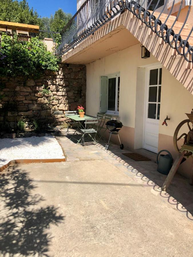 Gite Le Palmier - Perfectly Located Cosy Studio With Private Garden Puissalicon Екстериор снимка