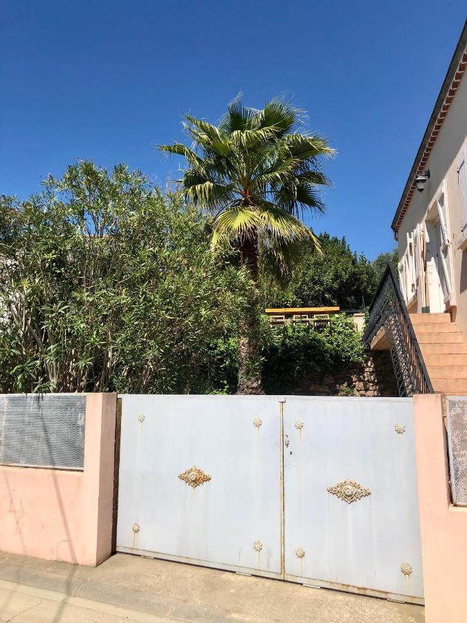 Gite Le Palmier - Perfectly Located Cosy Studio With Private Garden Puissalicon Екстериор снимка