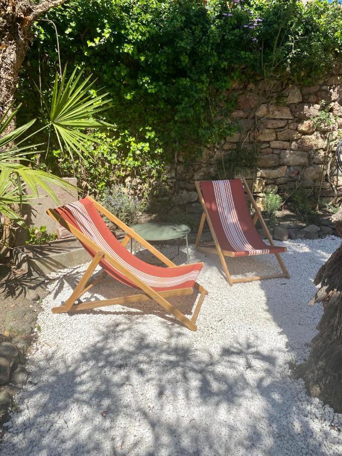 Gite Le Palmier - Perfectly Located Cosy Studio With Private Garden Puissalicon Екстериор снимка